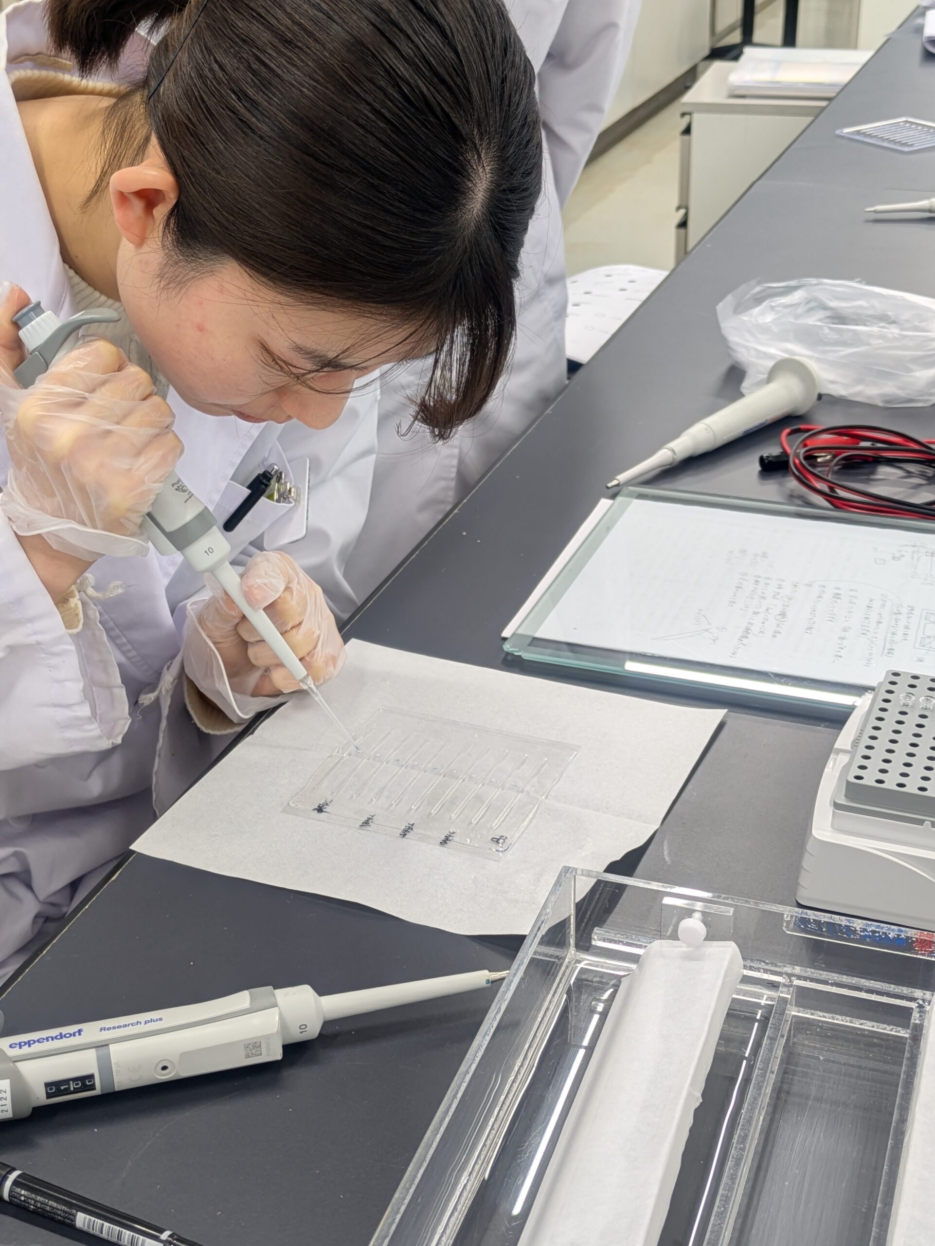 🔬臨床検査学科：免疫検査学実習の様子 | 学校法人 新渡戸文化学園