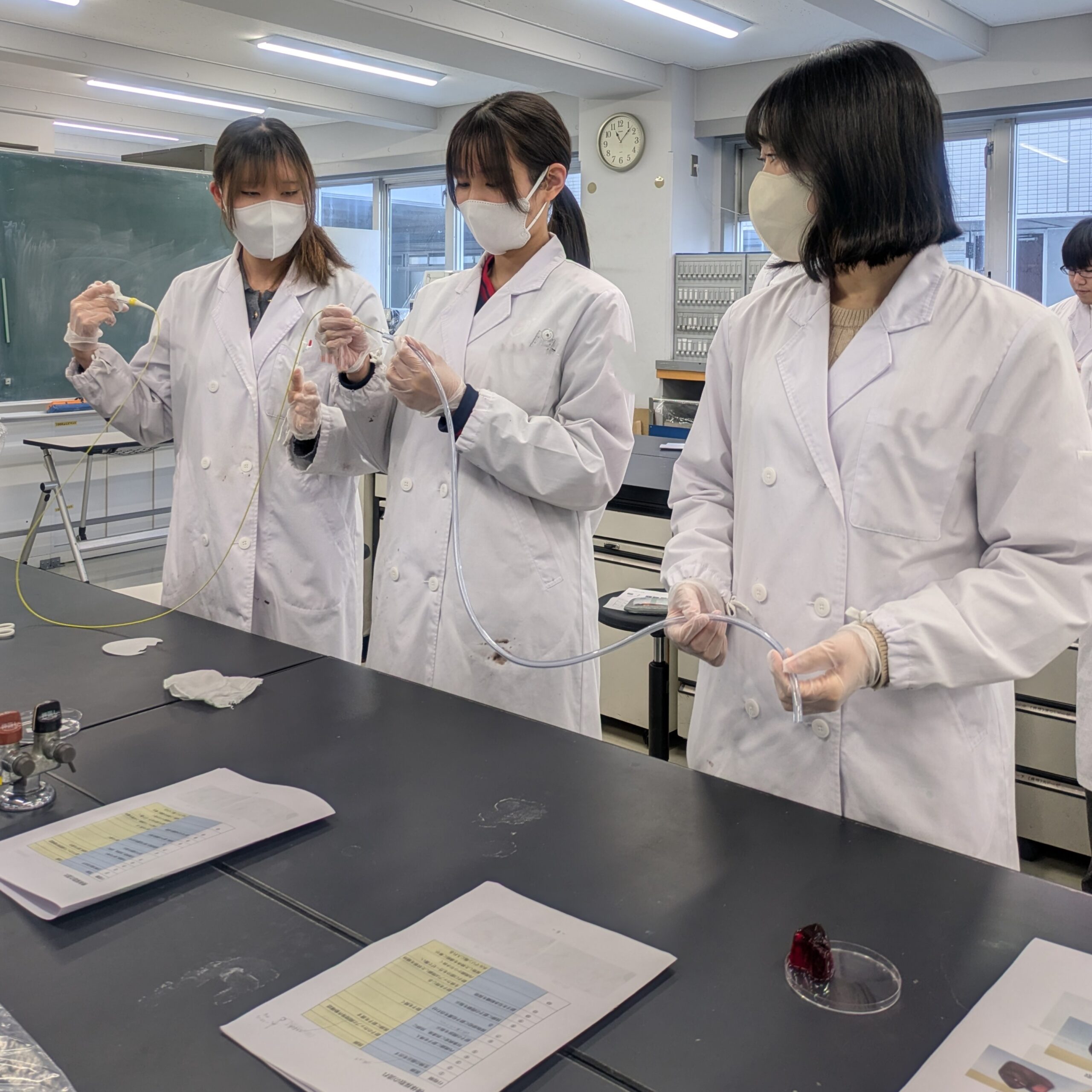 🔬臨床検査学科：画像検査学実習の様子 | 学校法人 新渡戸文化学園