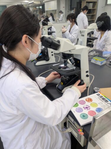 🔬臨床検査学科：2年生・技能修得達成度評価【練習日】