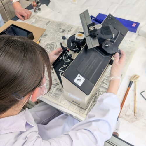 🔬臨床検査学科：病理検査学の実習の様子