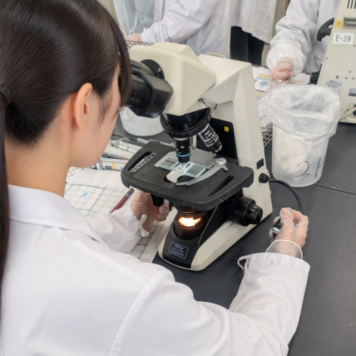 🔬臨床検査学科：血液検査学実習🩸の様子