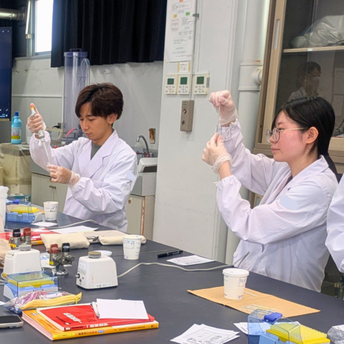 🔬臨床検査学科：先輩・後輩で一緒に研究！ゼミナール研究がスタート🤝🔬