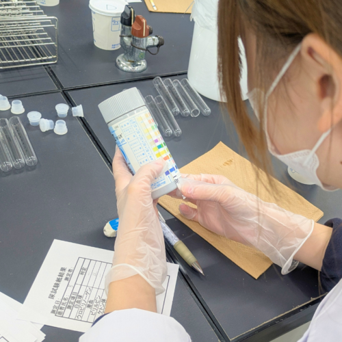 🔬臨床検査学科：一般検査学実習の様子